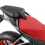 Aprilia Tuono 660 2021