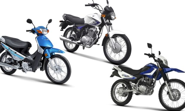 Motomel lideró el mercado de marcas nacionales en 2020