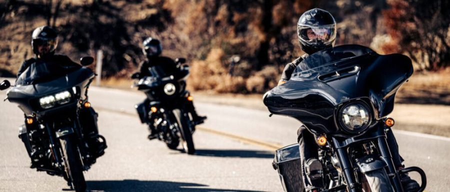 harley-davidson- mdm-2