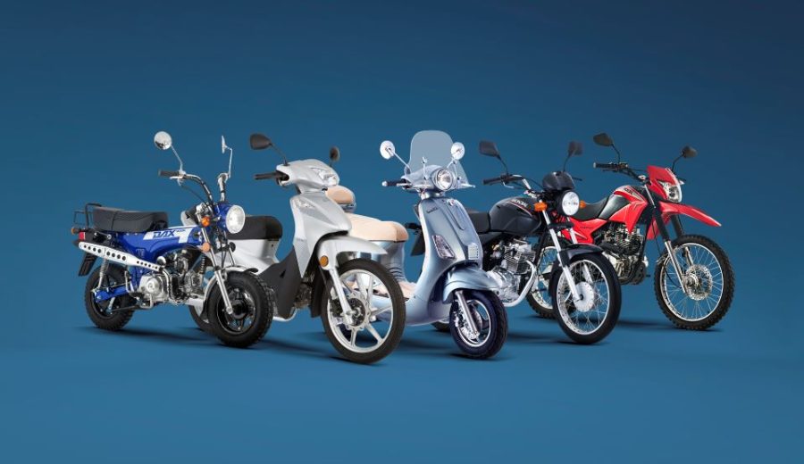 Completo stand de Mondial