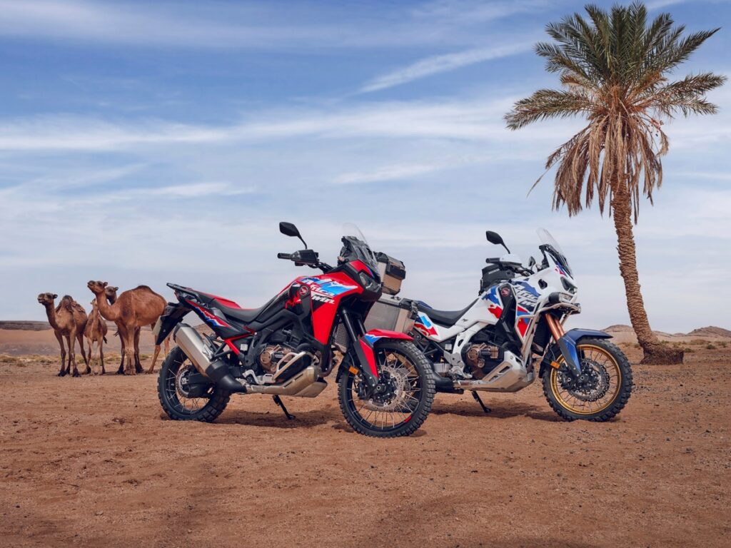 Dos Honda Africa Twin 2024 con un camello y palmeras de fondo