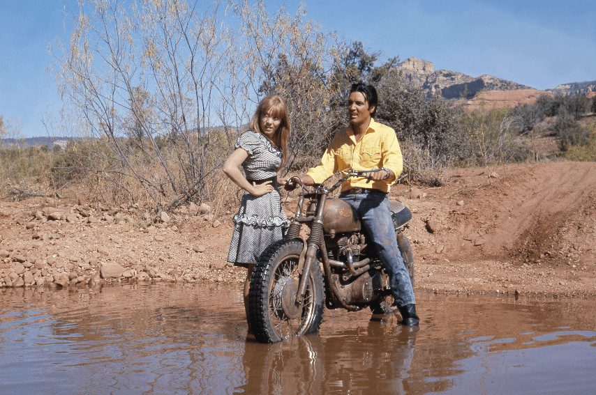 <img src="https://motodinamia.com/wp/wp-content/uploads/2023/12/triumph-en-el-cine-mdm-2.jpg" alt="Triumph en el cine. Comedia romántica de los '60, ambientada en un rodeo, como «Stay Away, Joe», con el incomparable Elvis Presley">