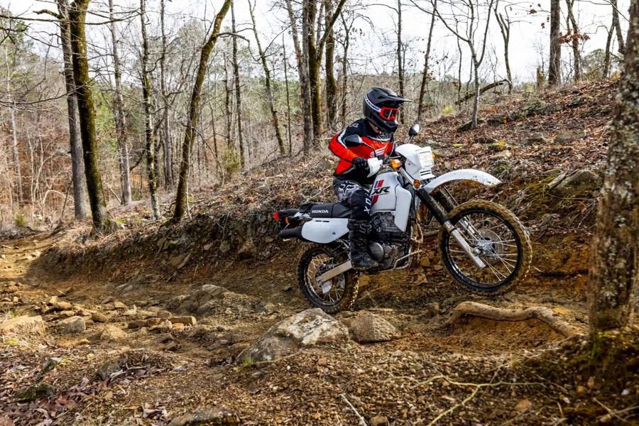 Un piloto se desplaza por un sendero boscoso con una XR650L blanca. 