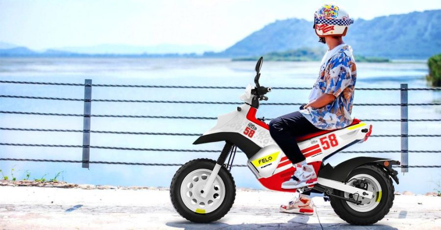 Un usuario y su FELO F-03 parados al lado de una barandilla que da a un lago.