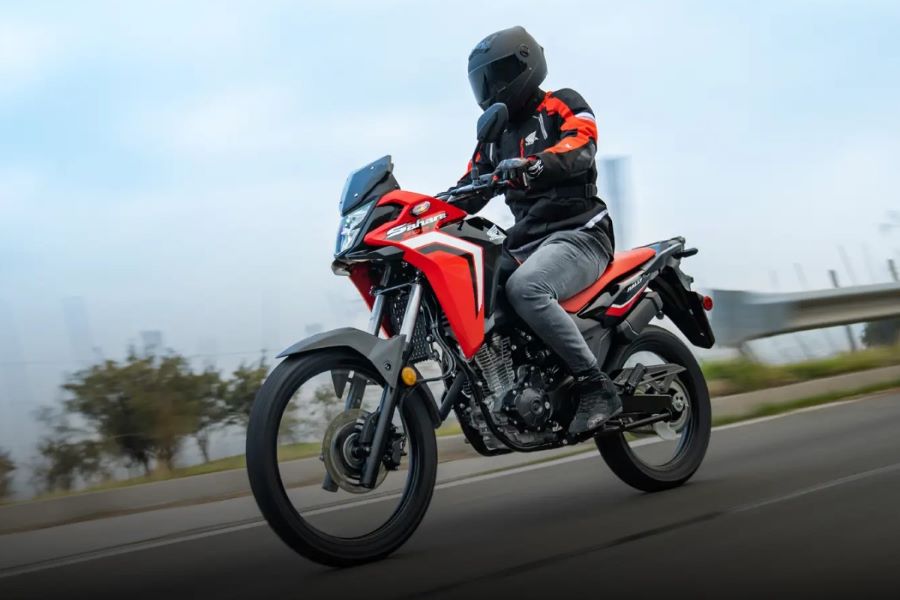 Honda Sahara 300: todo sobre la famosa trail mediana