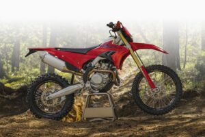 Una moto Ducati Desmo450 EDS descansa sobre su caballete central en medio del bosque