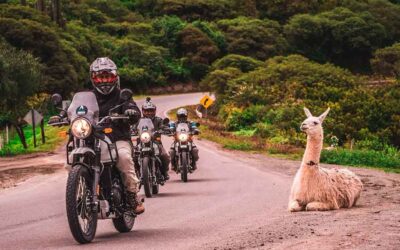 Alquiler de motos para viajes en Argentina | Empresas y consejos 